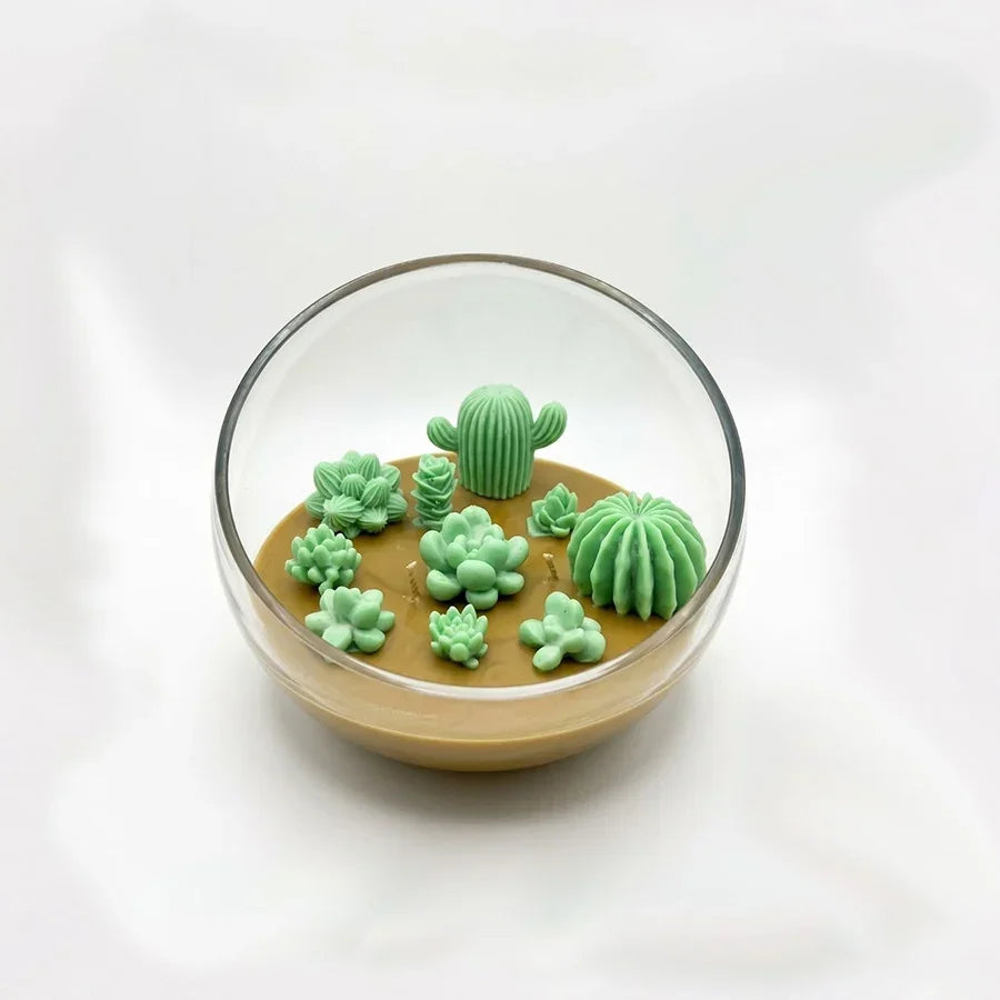 The Cactus Garden Glass Terrarium Candle Candles by BRADOR